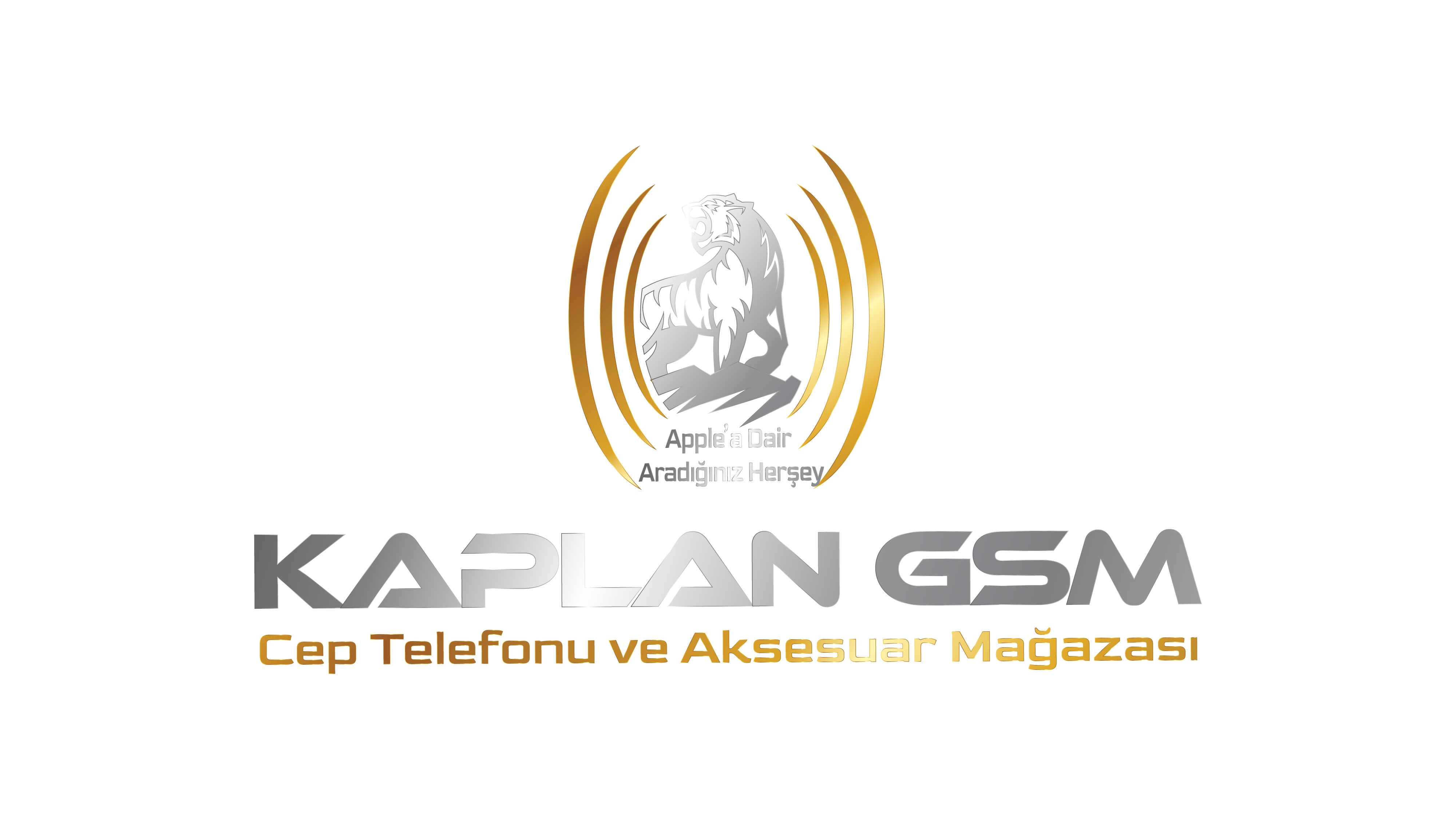 Kaplan Group 
